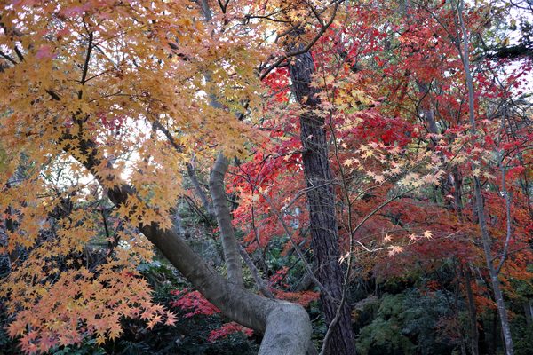 ( 松雲山荘 )