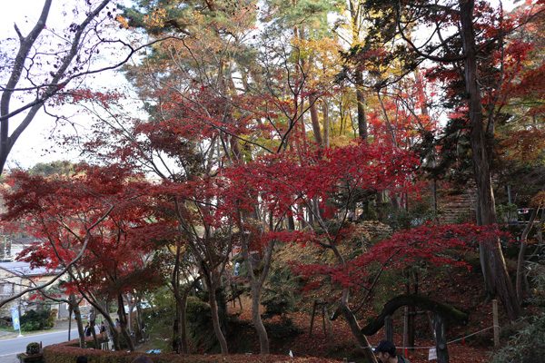 ( 松雲山荘 )
