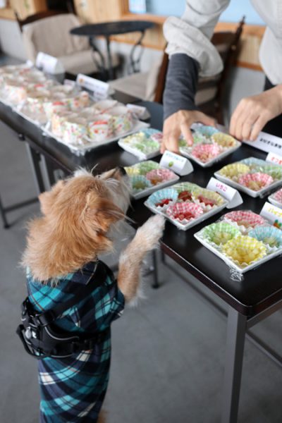( おいもとおいもとおいもで~! )