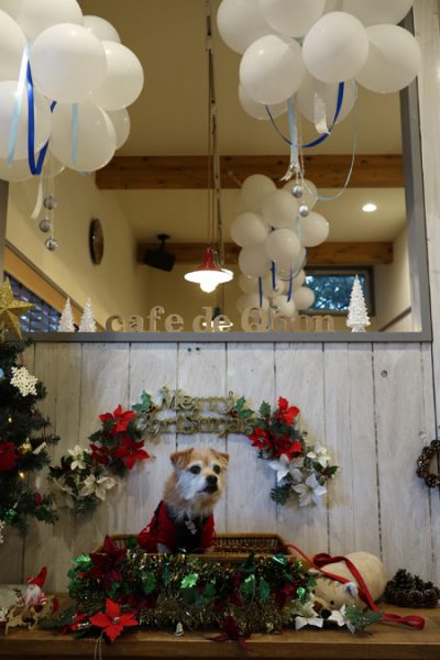 ( クリスマスのカフェドクーン )