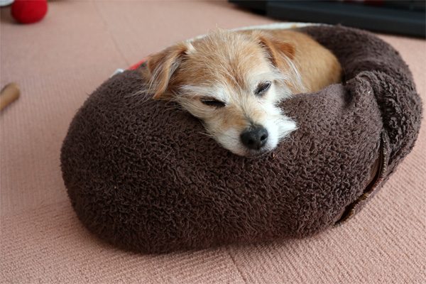 ( ひどい天気なんだよ )