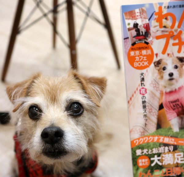 ( おら、ジャックじゃないだよ )