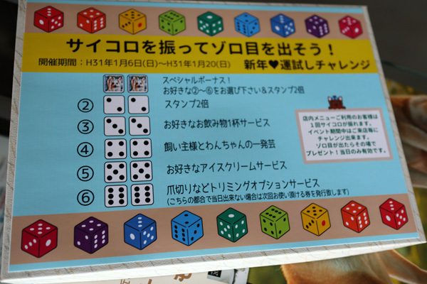 ( ゾロ目がでたら~♪ )