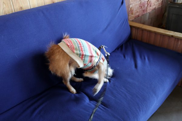 ( ズリズリ~ )