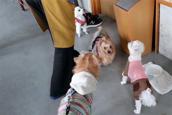 ( おかわりください )