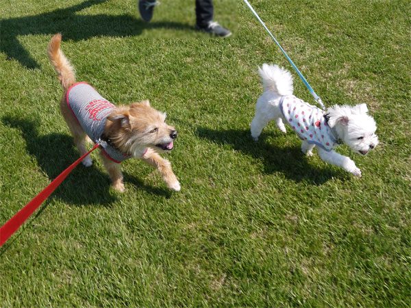 ( 2014年4月 スポーツ公園 )