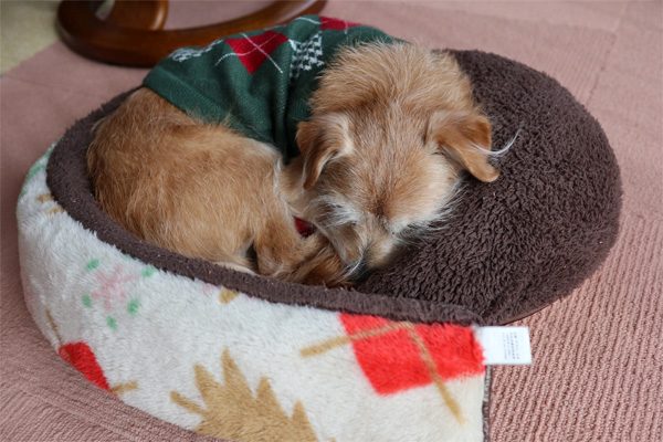 ( ZZzzz )
