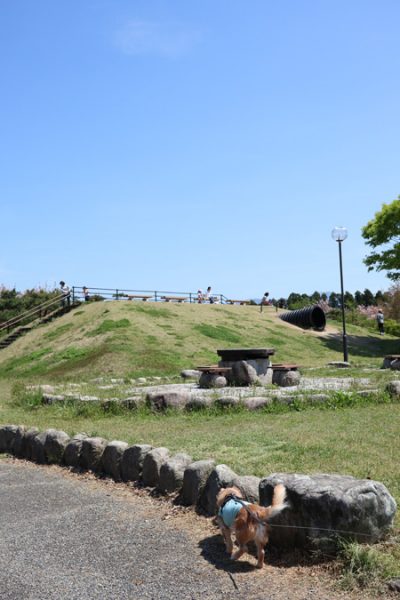 ( おぉ )