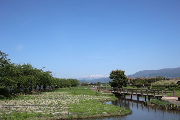 ( 新潟県 瓢湖 )