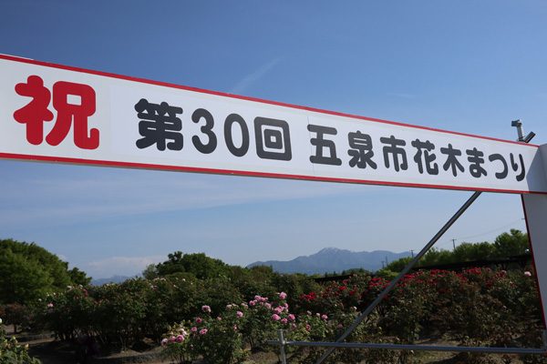 ( 五泉市東公園牡丹園 )