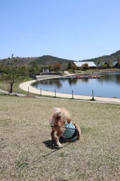 ( ずり )
