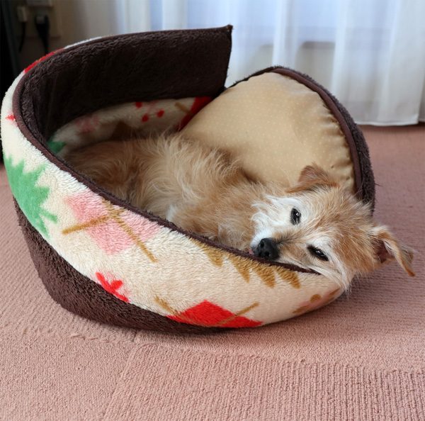 ( ふぅ )