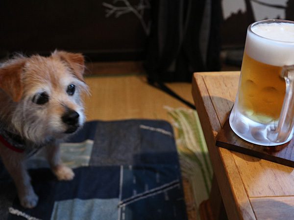 ( ルービーだか )