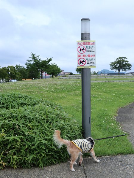 ( こ、これはー )