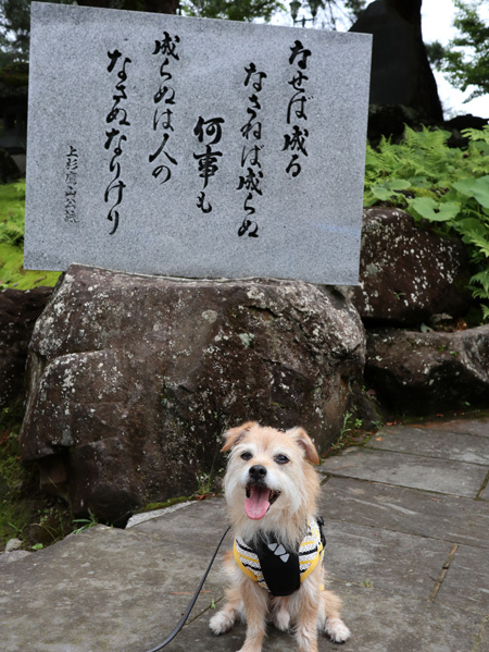 ( 上杉鷹山公なんだ )