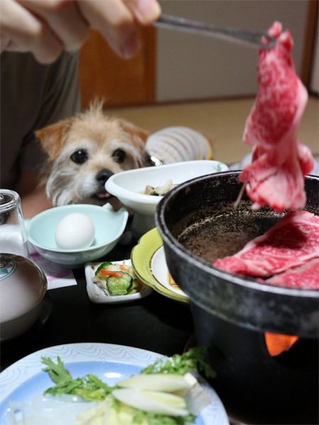 ( すき焼き )