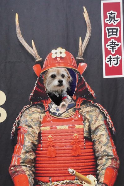 ( おら幸村だ )