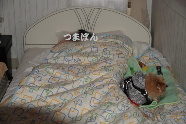 ( 朝なんだよ )