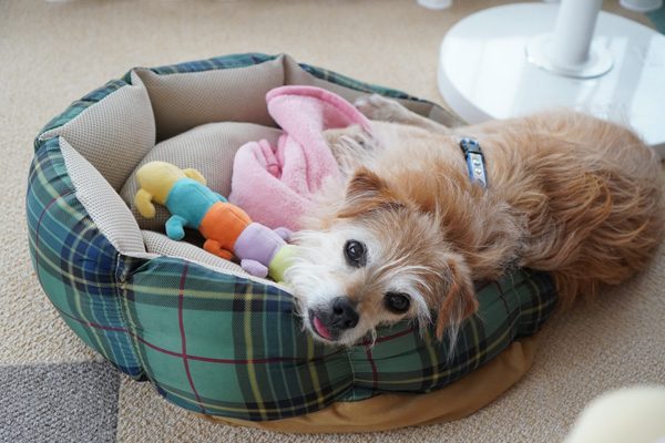 ( なんかようだか?)