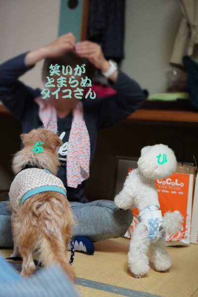( わぁ♪ )