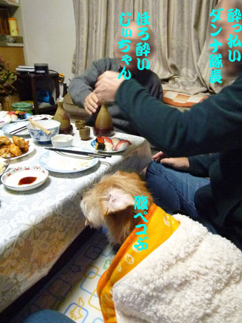 ( 2011年大晦日 )