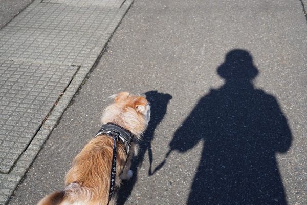( てくてく )