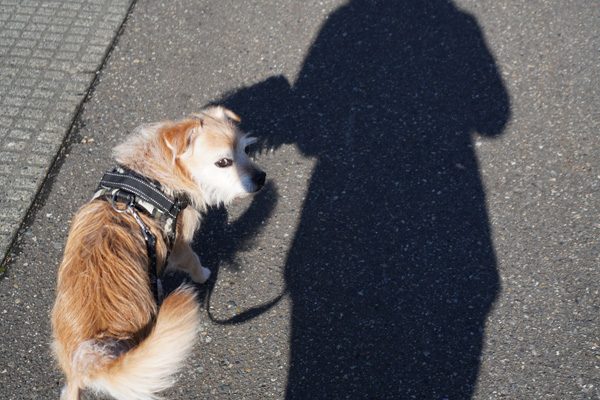 ( ちろっ )