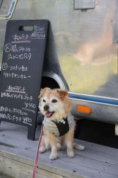 ( 本日のメニューだ )