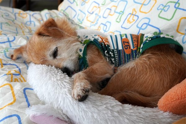 ( Zzzz )