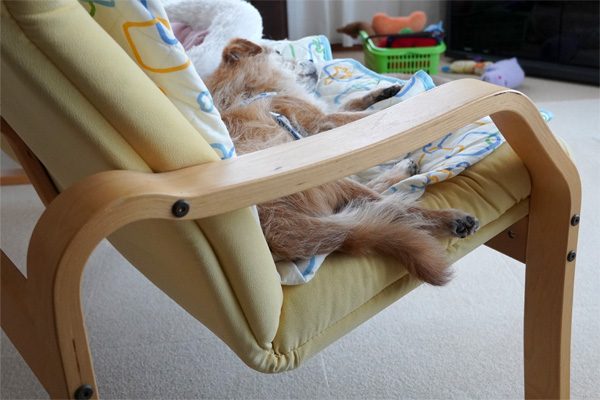 ( Zzzz )