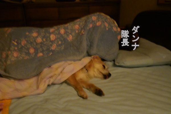 ( ZZzzz&ZZZzzz )