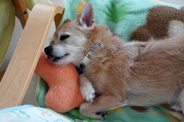 ( Zzzz )