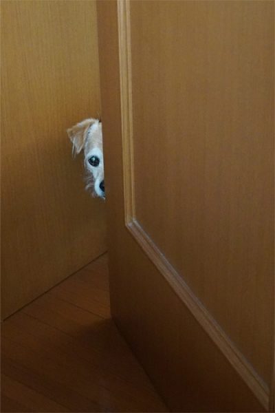 ( じぃ )