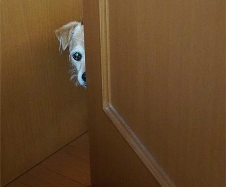 ( じぃ )